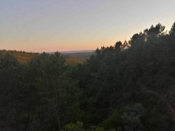 2021-06-05 e 6 FORMEX 1